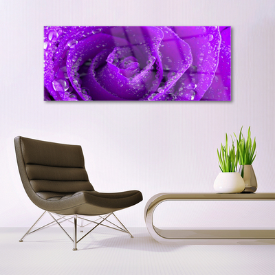 Acrylic Print Rose floral purple