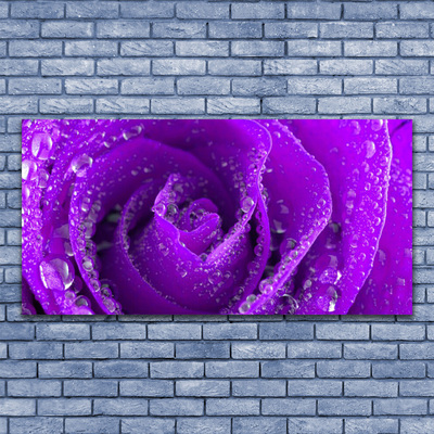 Acrylic Print Rose floral purple