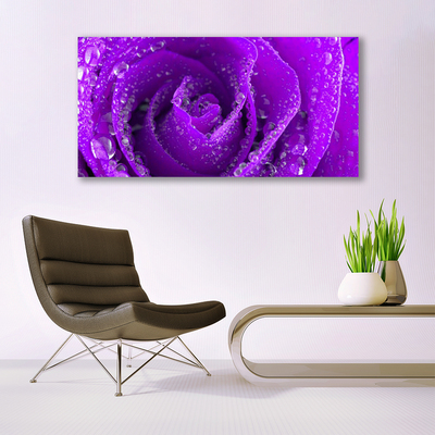 Acrylic Print Rose floral purple