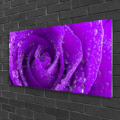 Acrylic Print Rose floral purple