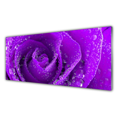 Acrylic Print Rose floral purple