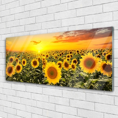 Acrylic Print Sunflowers floral yellow green