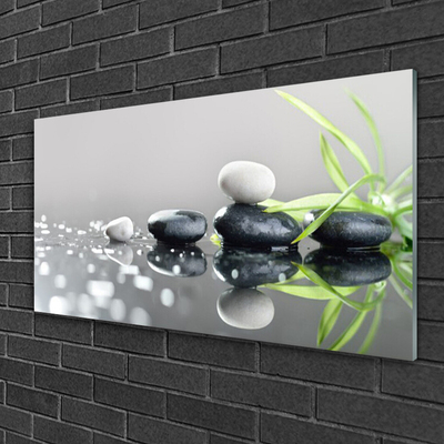 Acrylic Print Stones grass art black white grey green