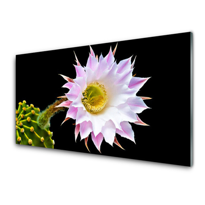 Acrylic Print Flower floral pink white yellow green