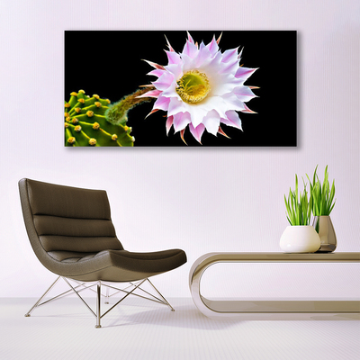 Acrylic Print Flower floral pink white yellow green