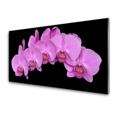 Acrylic Print Flowers floral pink black