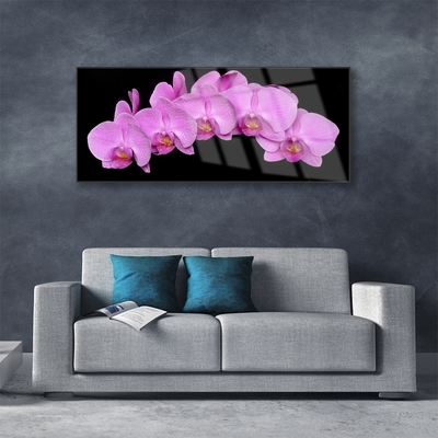 Acrylic Print Flowers floral pink black