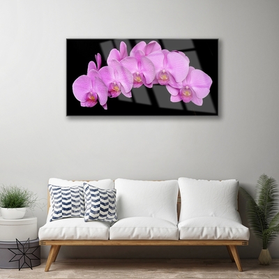 Acrylic Print Flowers floral pink black