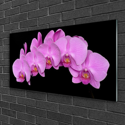 Acrylic Print Flowers floral pink black