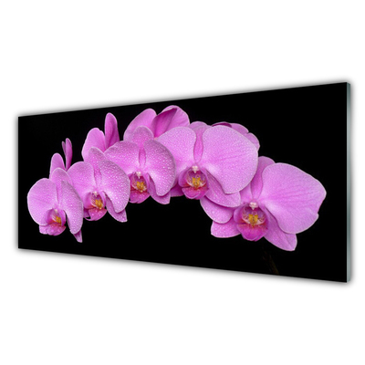 Acrylic Print Flowers floral pink black