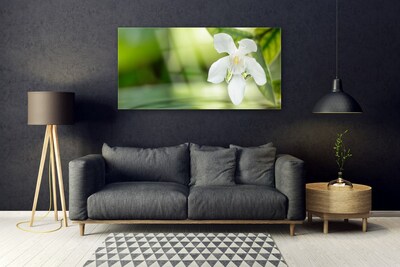 Acrylic Print Flower leaves floral white green