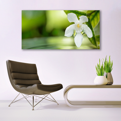 Acrylic Print Flower leaves floral white green