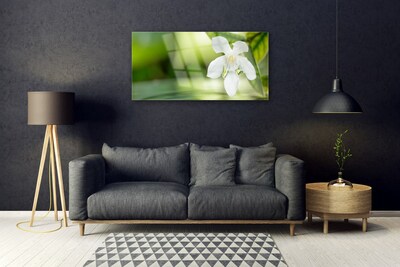 Acrylic Print Flower leaves floral white green