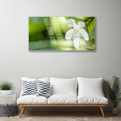 Acrylic Print Flower leaves floral white green