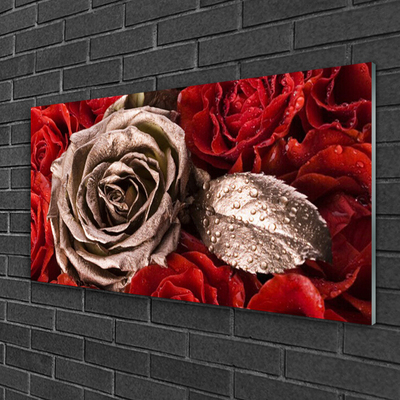 Acrylic Print Roses floral red