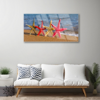 Acrylic Print Beach starfish art multi