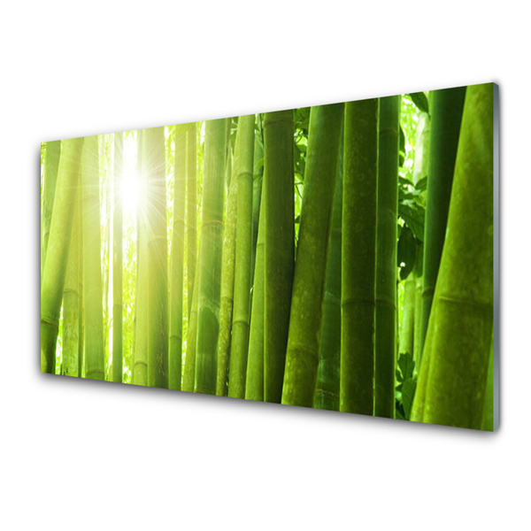 Acrylic Print Bamboo floral green