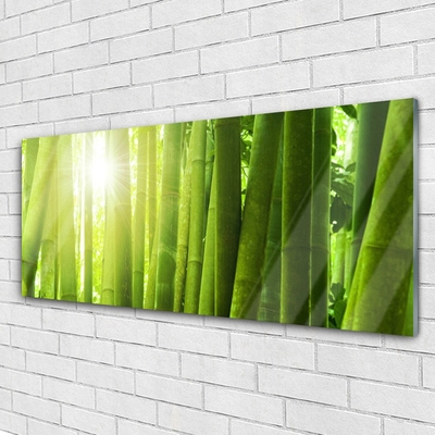 Acrylic Print Bamboo floral green