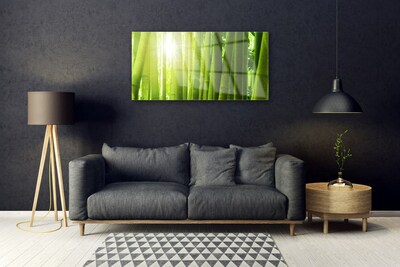 Acrylic Print Bamboo floral green