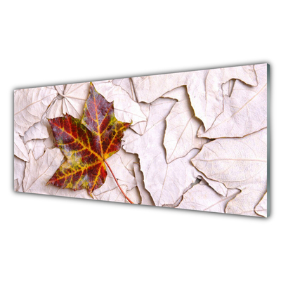 Acrylic Print Leaves floral multi