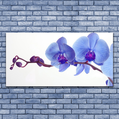 Acrylic Print Flowers floral blue purple
