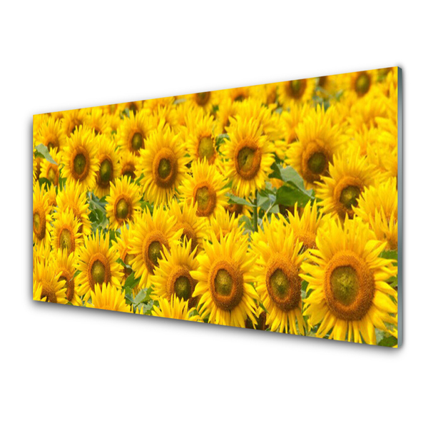 Acrylic Print Sunflowers floral yellow brown green