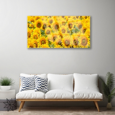 Acrylic Print Sunflowers floral yellow brown green