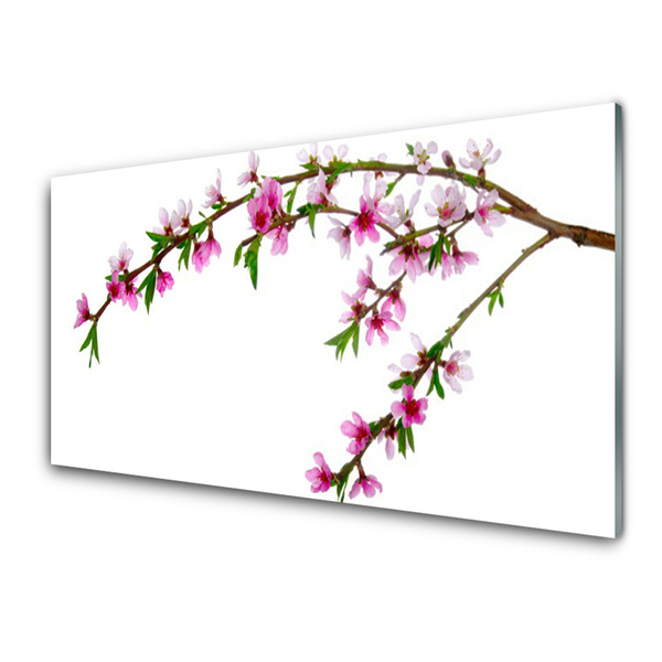 Acrylic Print Branch flowers nature pink purple green brown