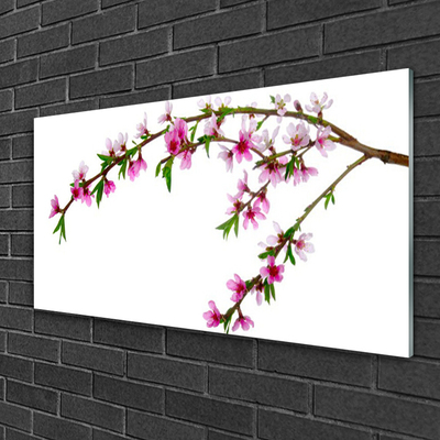 Acrylic Print Branch flowers nature pink purple green brown