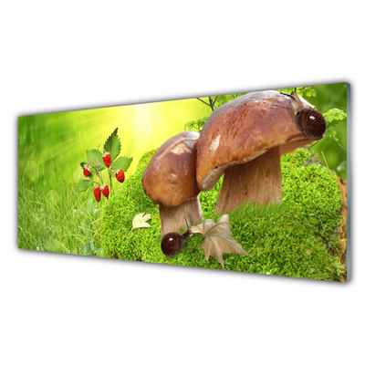 Acrylic Print Mushrooms grass wild strawberries nature brown red green
