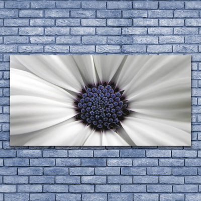 Acrylic Print Flower floral white grey purple