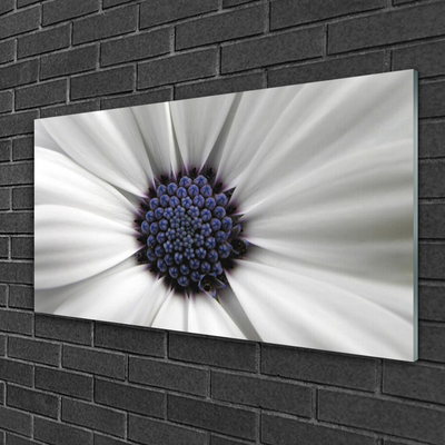 Acrylic Print Flower floral white grey purple