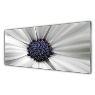 Acrylic Print Flower floral white grey purple