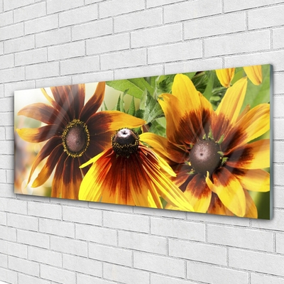 Acrylic Print Flowers floral brown yellow