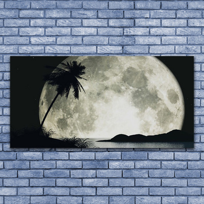 Acrylic Print Night moon palm landscape black grey white