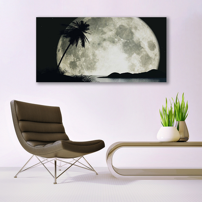 Acrylic Print Night moon palm landscape black grey white