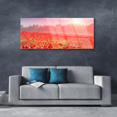 Acrylic Print Meadow flowers nature red green