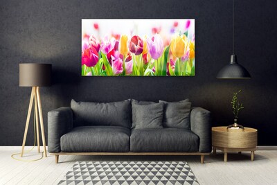 Acrylic Print Tulips floral red pink green