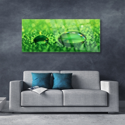 Acrylic Print Waterdrop art green