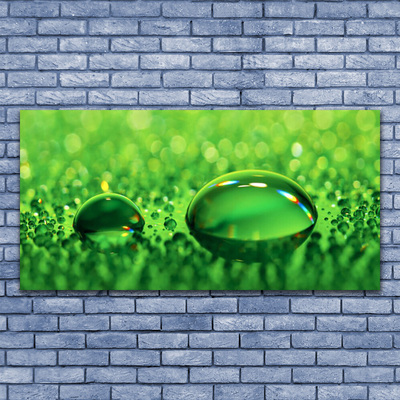 Acrylic Print Waterdrop art green