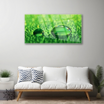 Acrylic Print Waterdrop art green