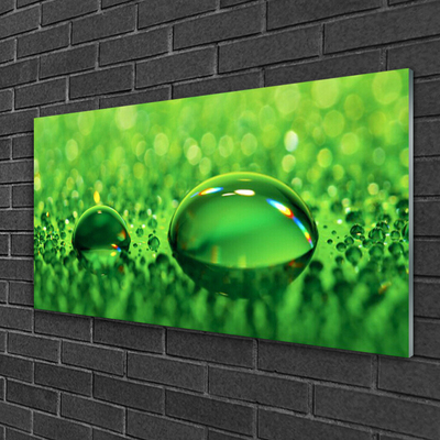 Acrylic Print Waterdrop art green