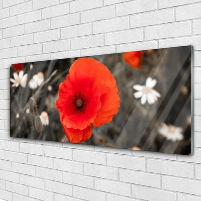 Acrylic Print Flower floral red grey