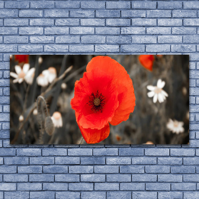 Acrylic Print Flower floral red grey