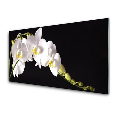 Acrylic Print Flowers floral white