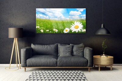 Acrylic Print Daisy grass nature white yellow green