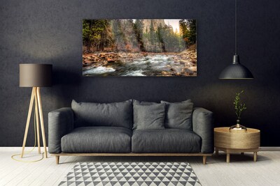 Acrylic Print Forest lake nature green brown blue