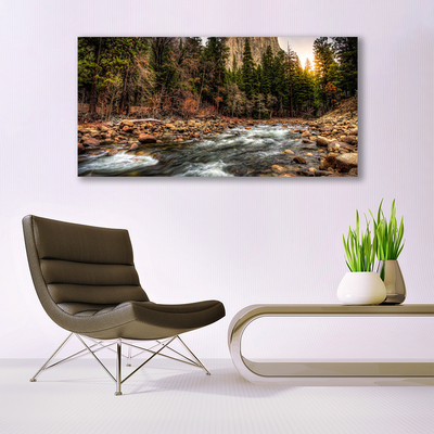 Acrylic Print Forest lake nature green brown blue