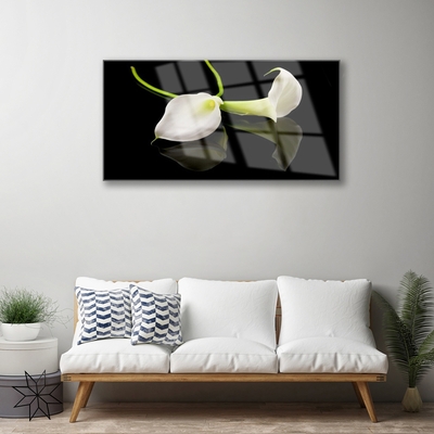 Acrylic Print Flowers floral white black