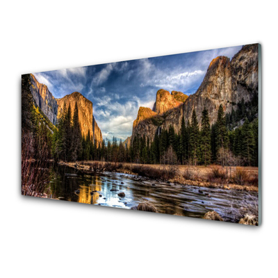 Acrylic Print Mountain forest lake nature green grey